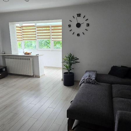 Ilona Apartament 3 Camere Râmnicu Vâlcea Екстериор снимка